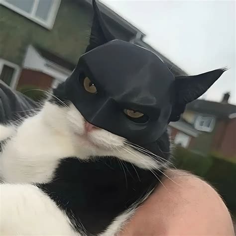BatCat Mask
