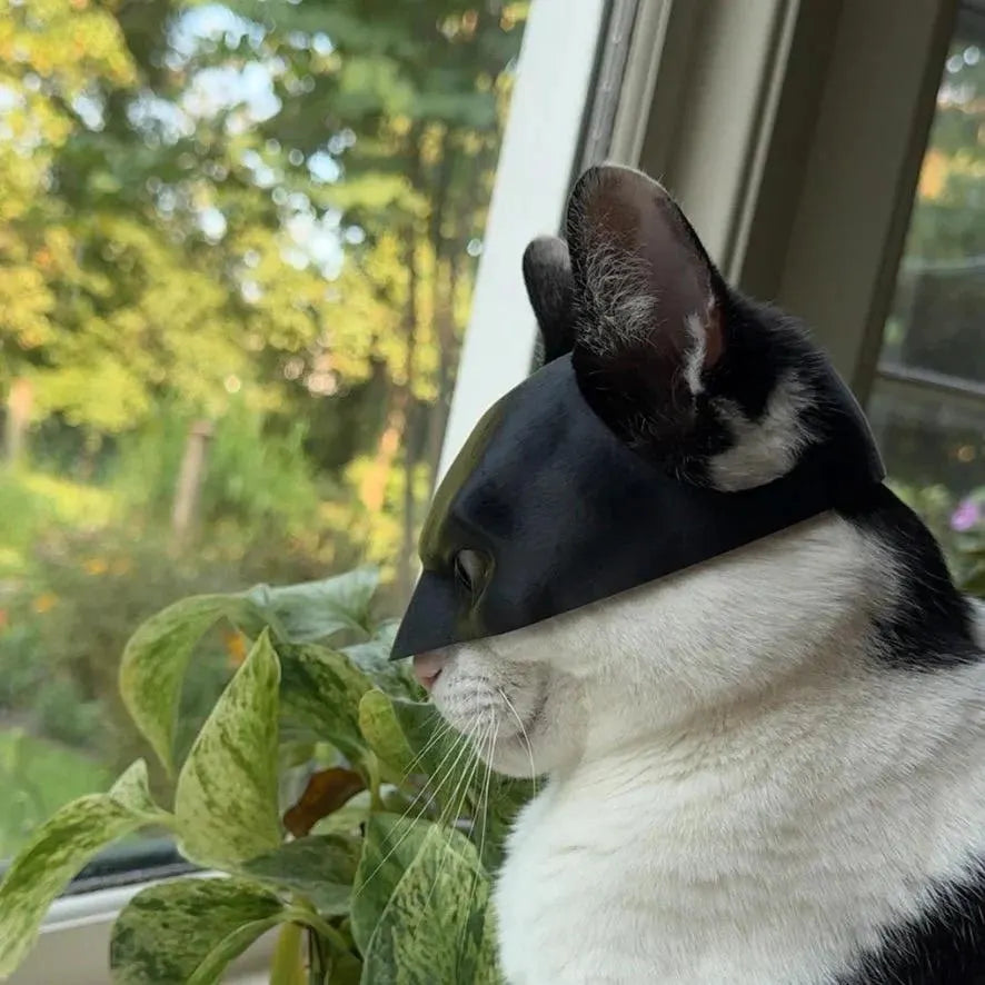 BatCat Mask