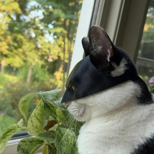 BatCat Mask